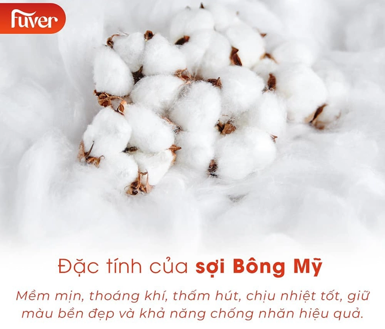 Một trong những đặc điểm nổi bật của sợi bông Mỹ là khả năng thấm hút tối ưu