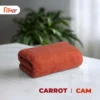 Màu Cam Cà Rốt